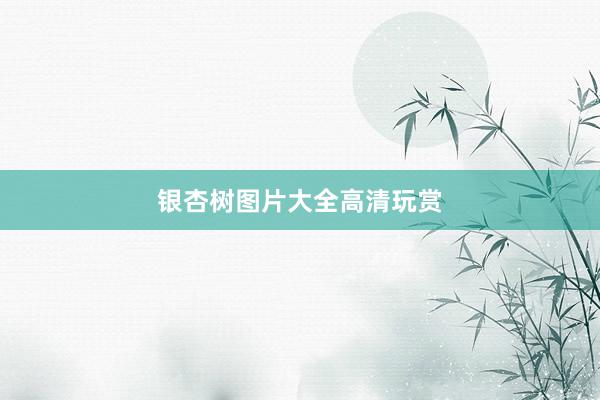 银杏树图片大全高清玩赏