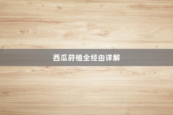 西瓜莳植全经由详解
