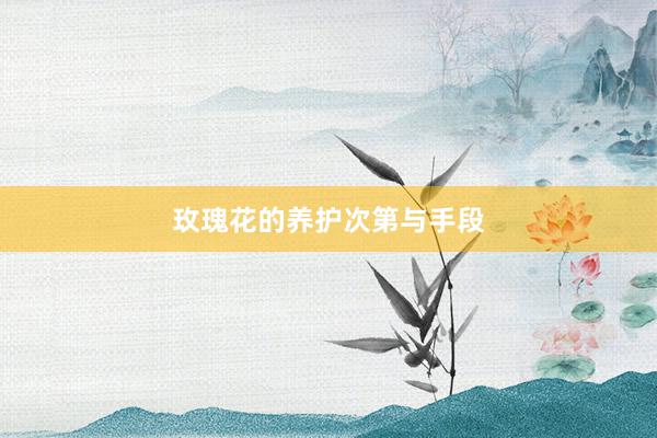 玫瑰花的养护次第与手段